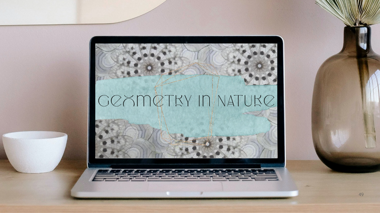 Laptop sitting on a wooden table, with Geometry in Nature visuals on the screen in grey and turquoise.