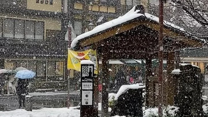 Coming to Kinosaki feels like stepping back into time. This gorgeous little town is all about the onsens and the seafood. 
We have spent the past few days doing very little besides soaking in the onsens, drinking coffee, eating steaming bowls of nood