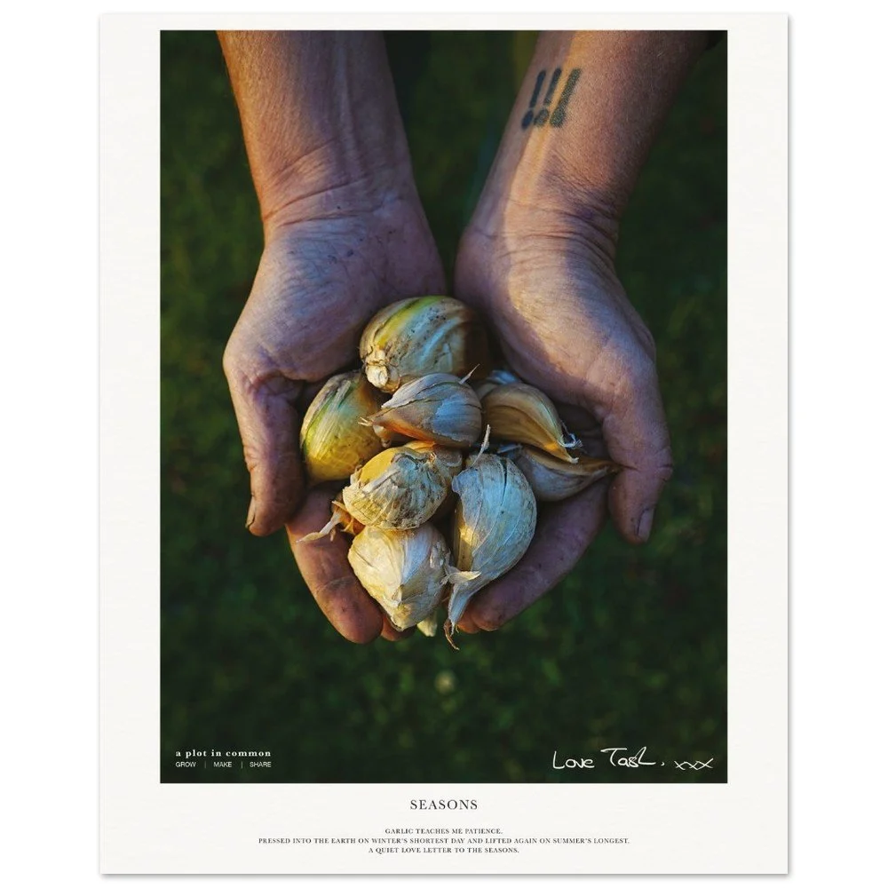 tmp-2909-AV6HjOUzGMyX