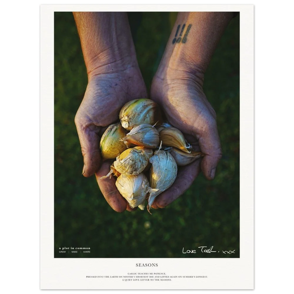 tmp-2909-9CFaDidHBYlh