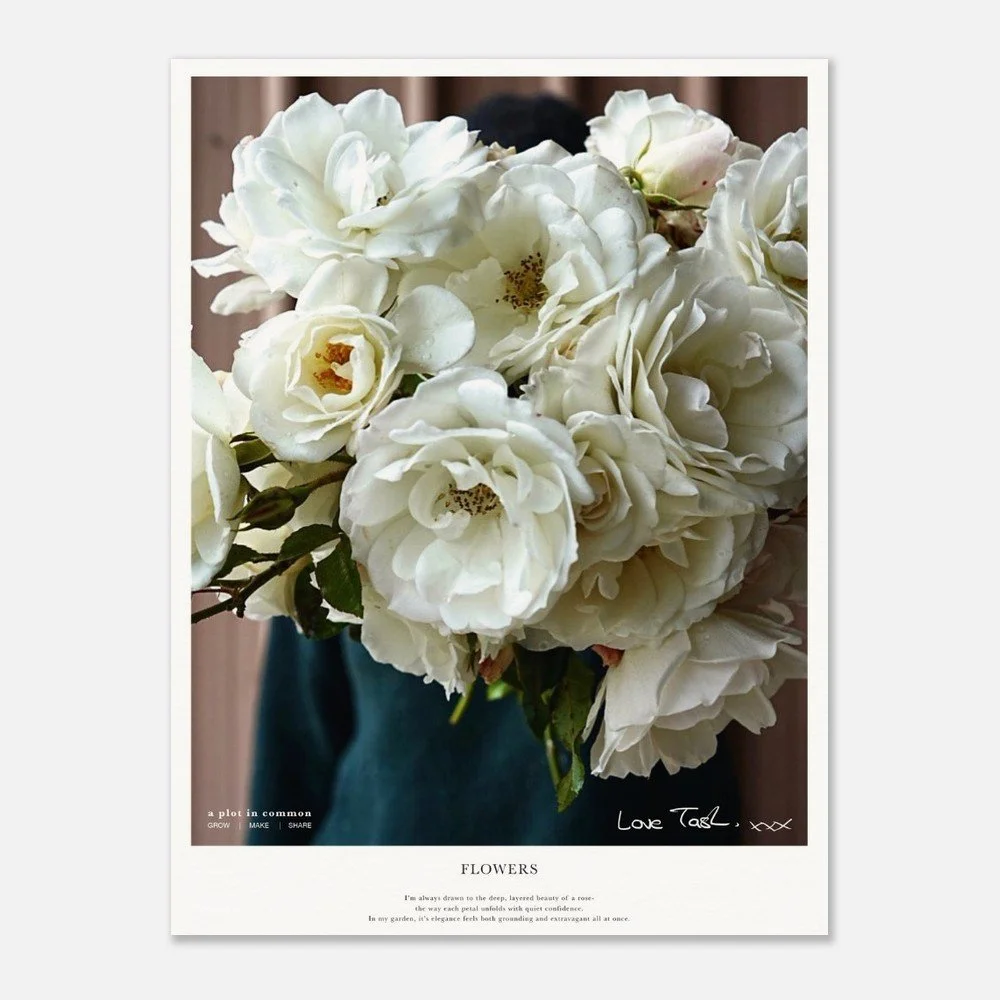 tmp-3106-DD49tn4DG162