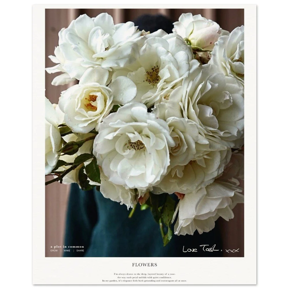 tmp-3106-skl9Jzs785s4