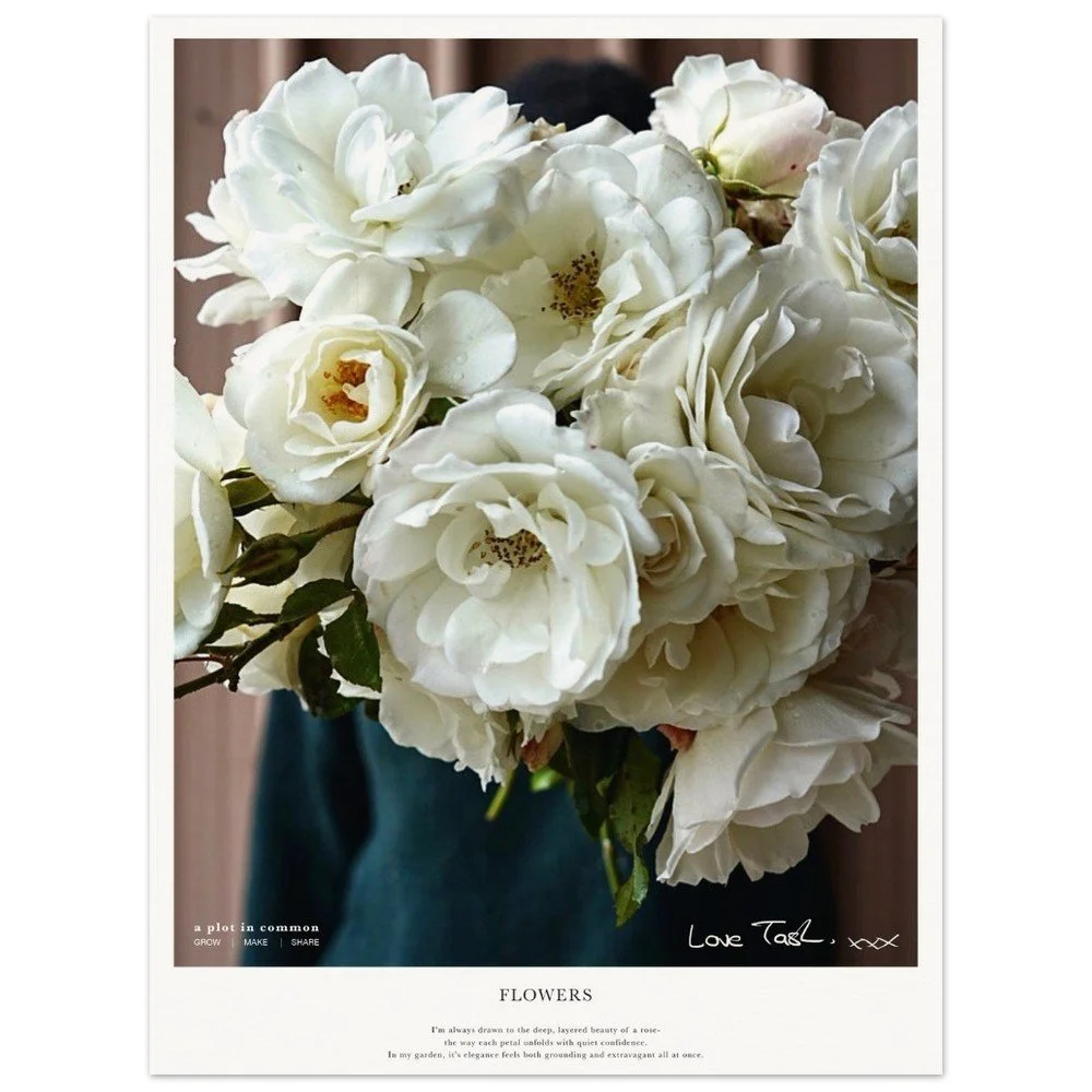 tmp-3106-e9SVZS7wNUqg