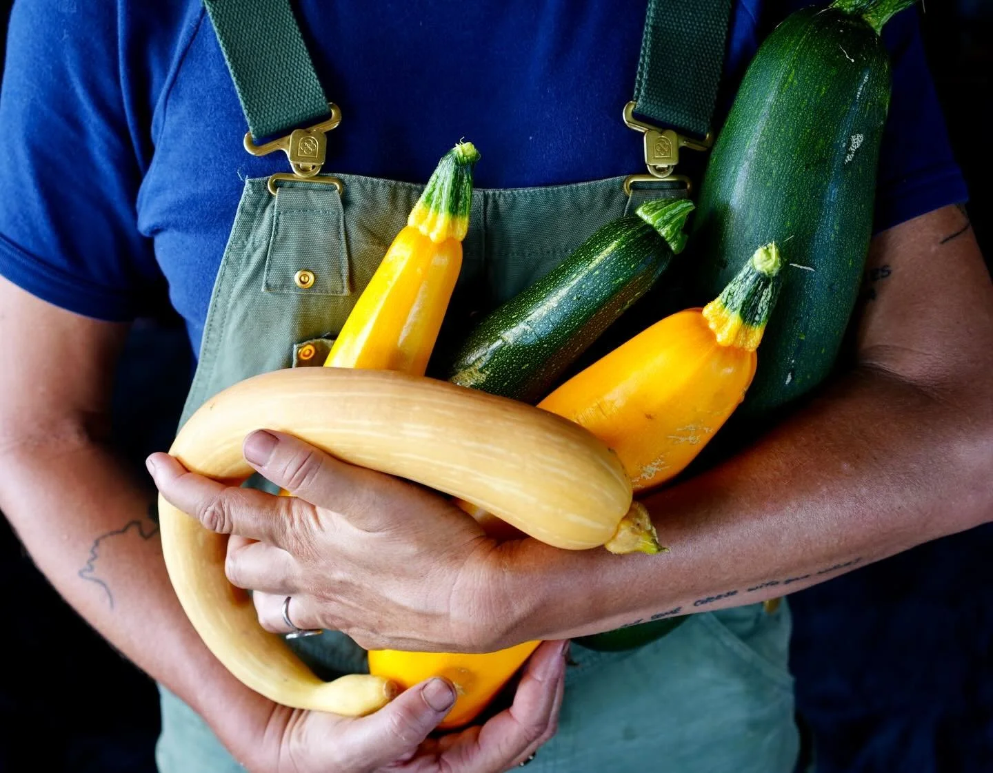 Hello! We are back after two weeks off the farm spending time with our kids, seeing family and friends. We spent our time cooking and eating lots, visiting the gallery, going to a music festival, drinking coffee, and swimming at the beach. It was jus