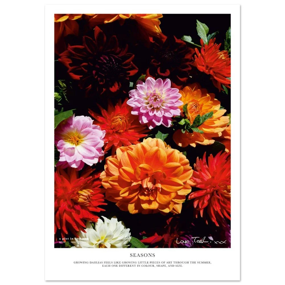 tmp-1371-n5Ga2aAa11lb