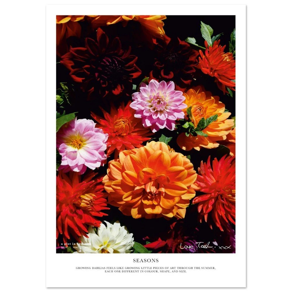 tmp-1371-gHZq2BkmINX3