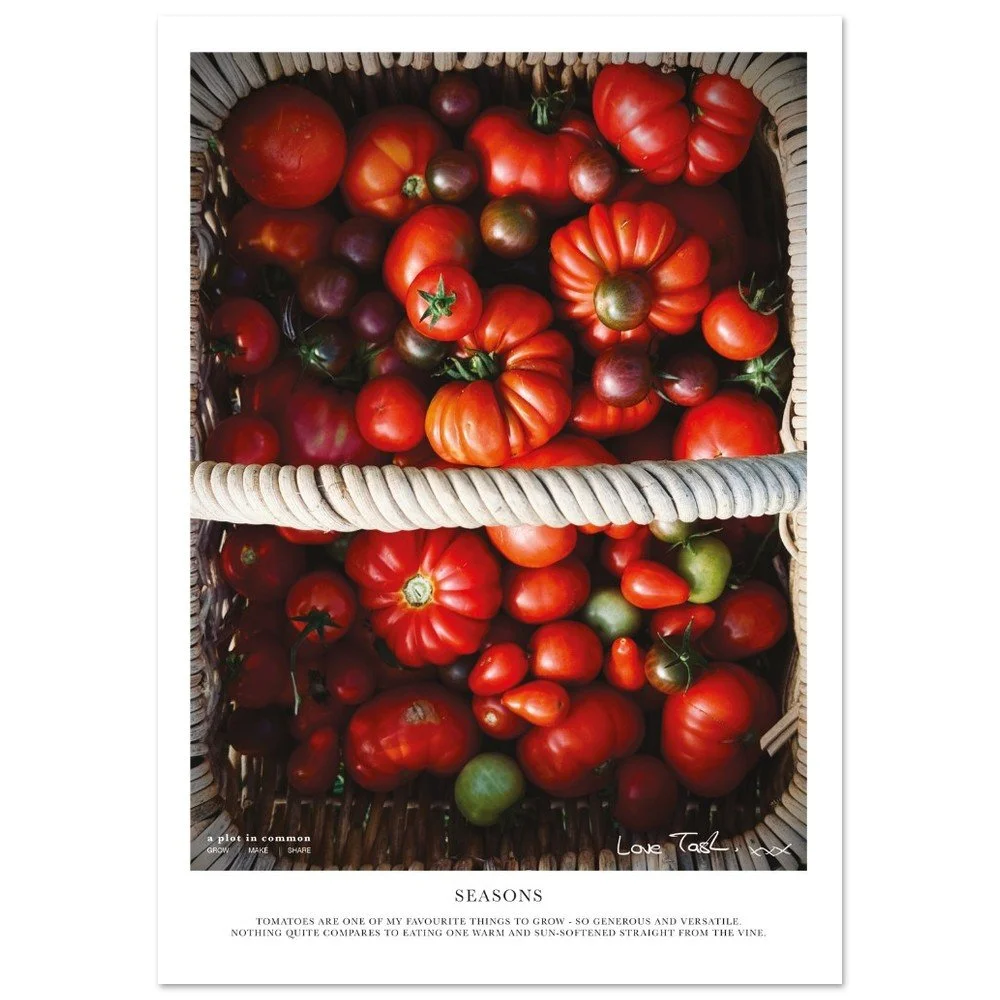 tmp-163-6HitmG6nJTZH