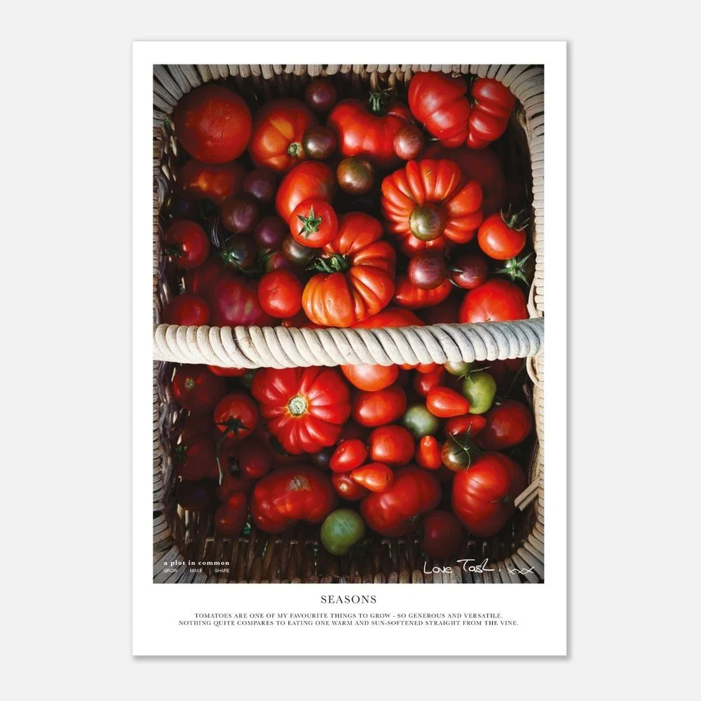 tmp-163-VwmZhlrivNuX