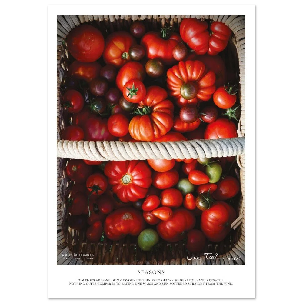 tmp-163-YHdG41V5oAHw