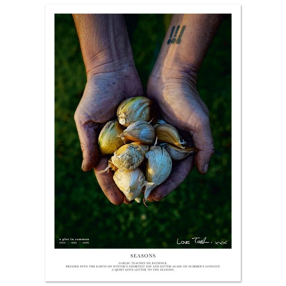 tmp-152-Ge5oj4uTcZ0o