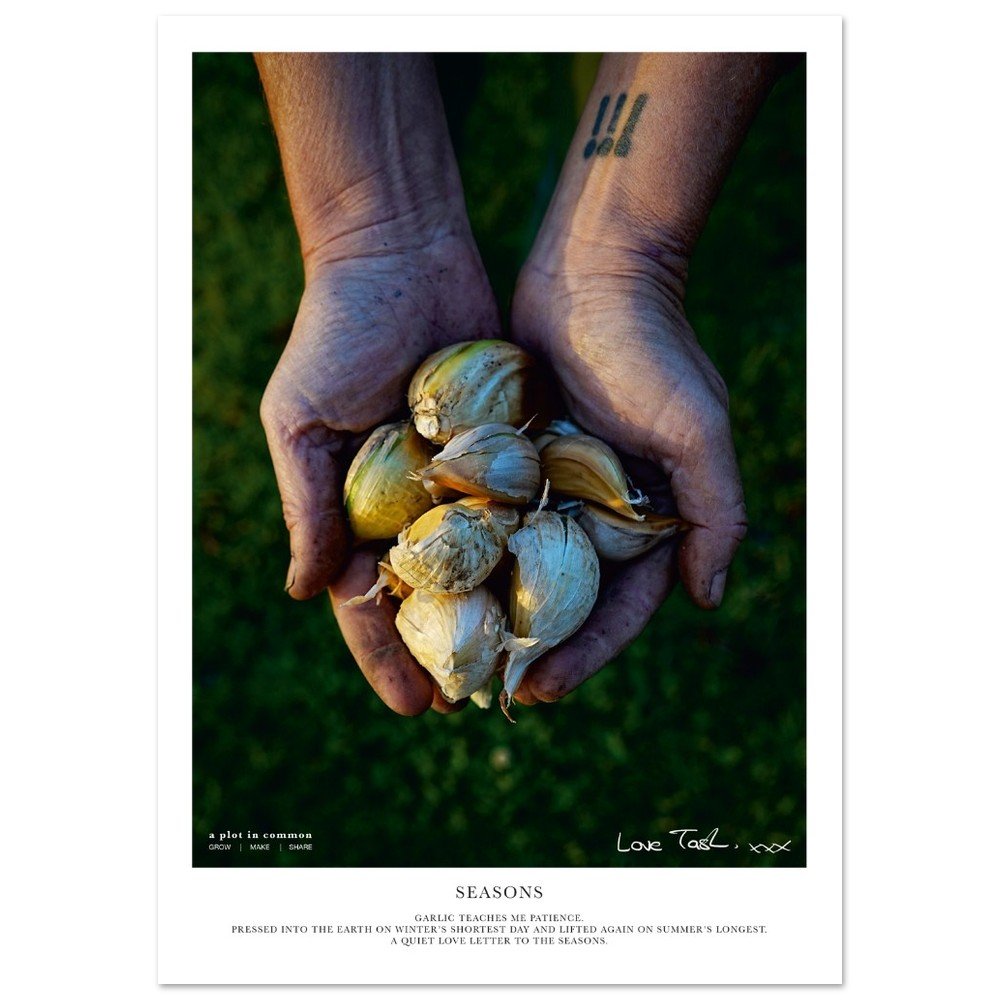 tmp-152-EymbvDJjxhT9