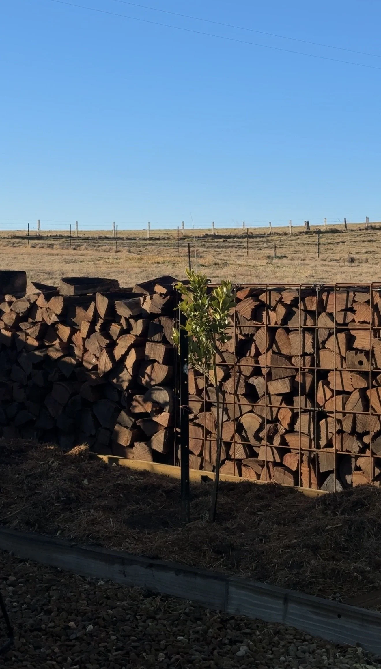wood stack.jpg