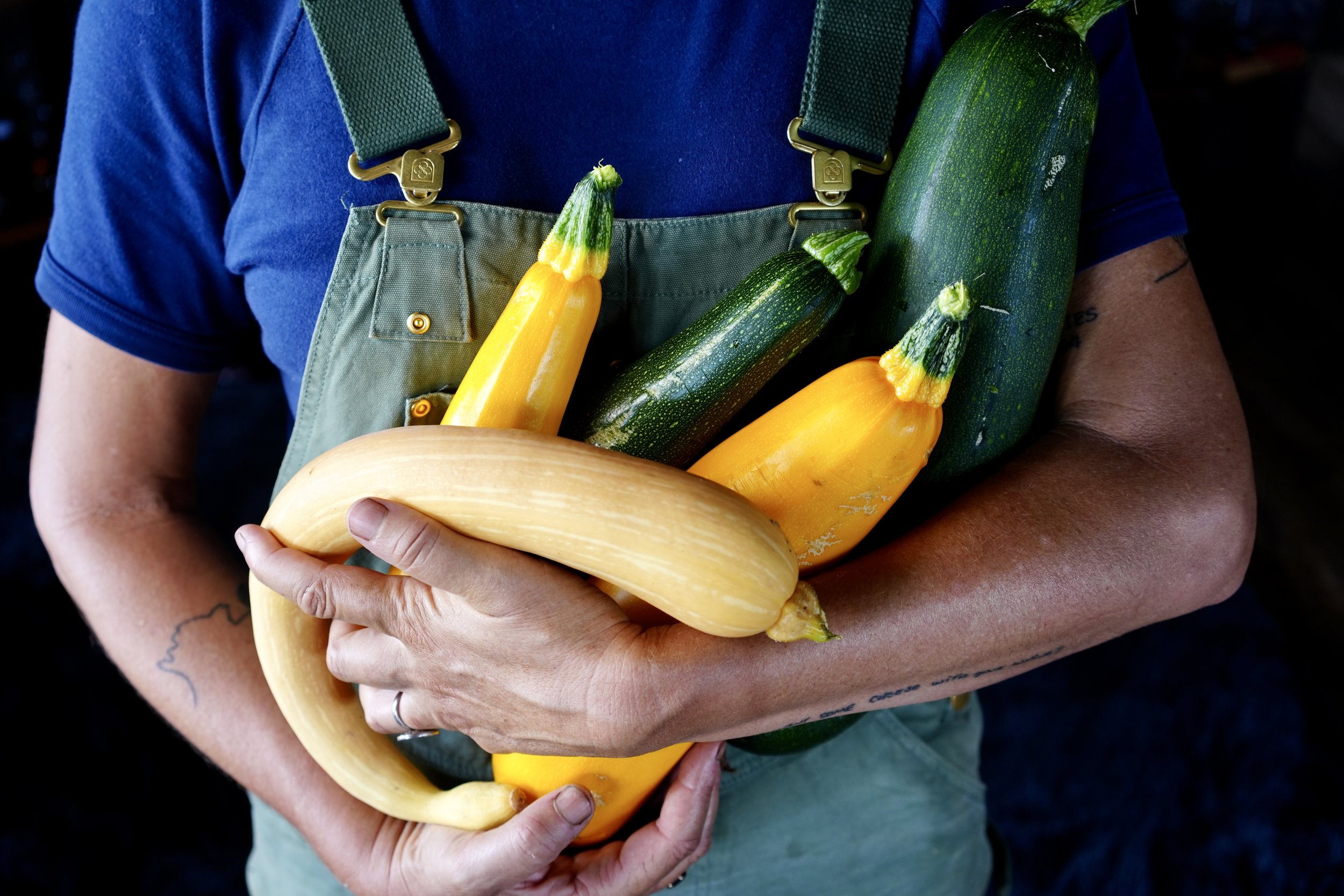 armful of zucchinis.jpg