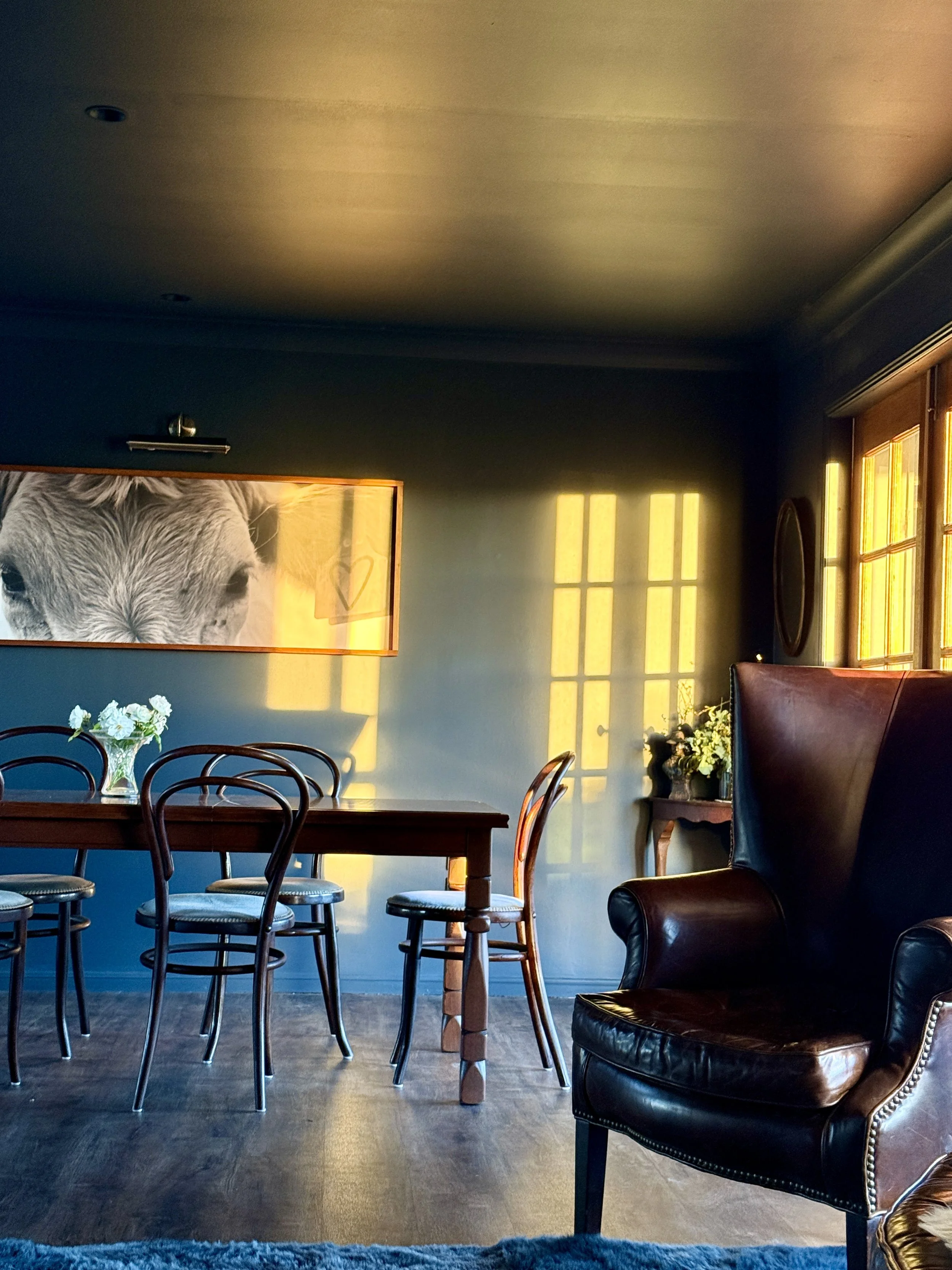 dining room light.jpg