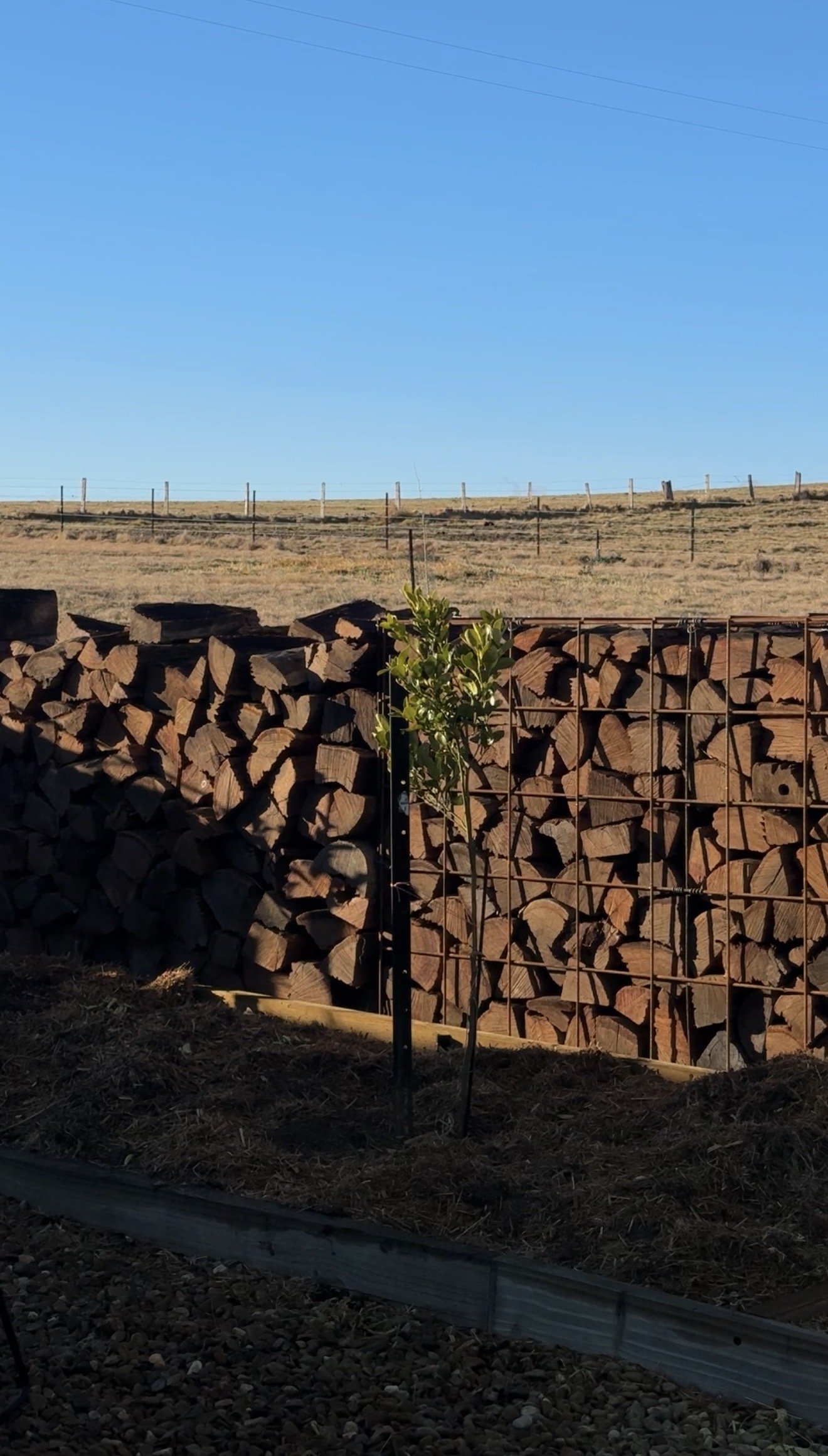 wood stack.jpg