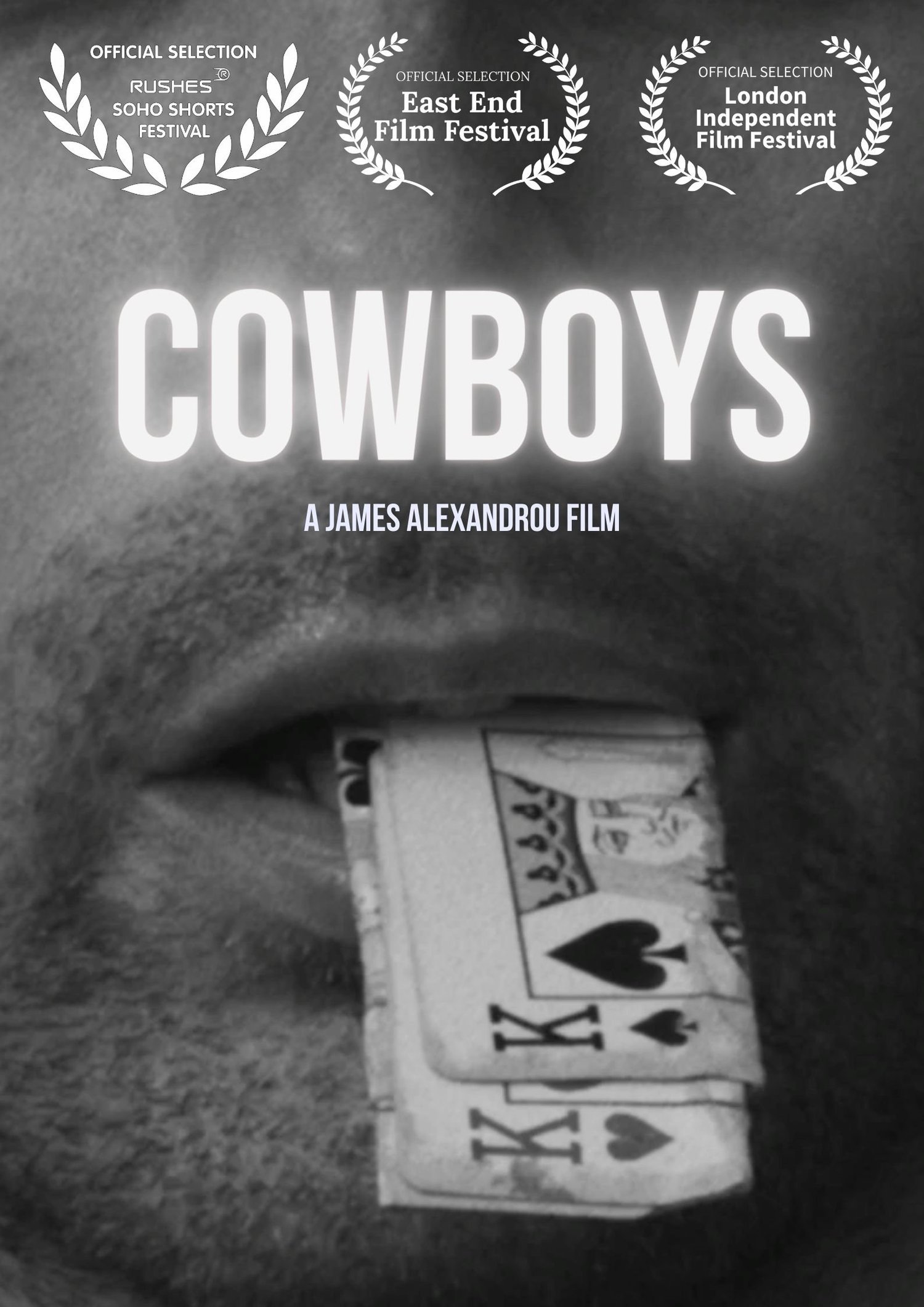 Festival laurels for Cowboys