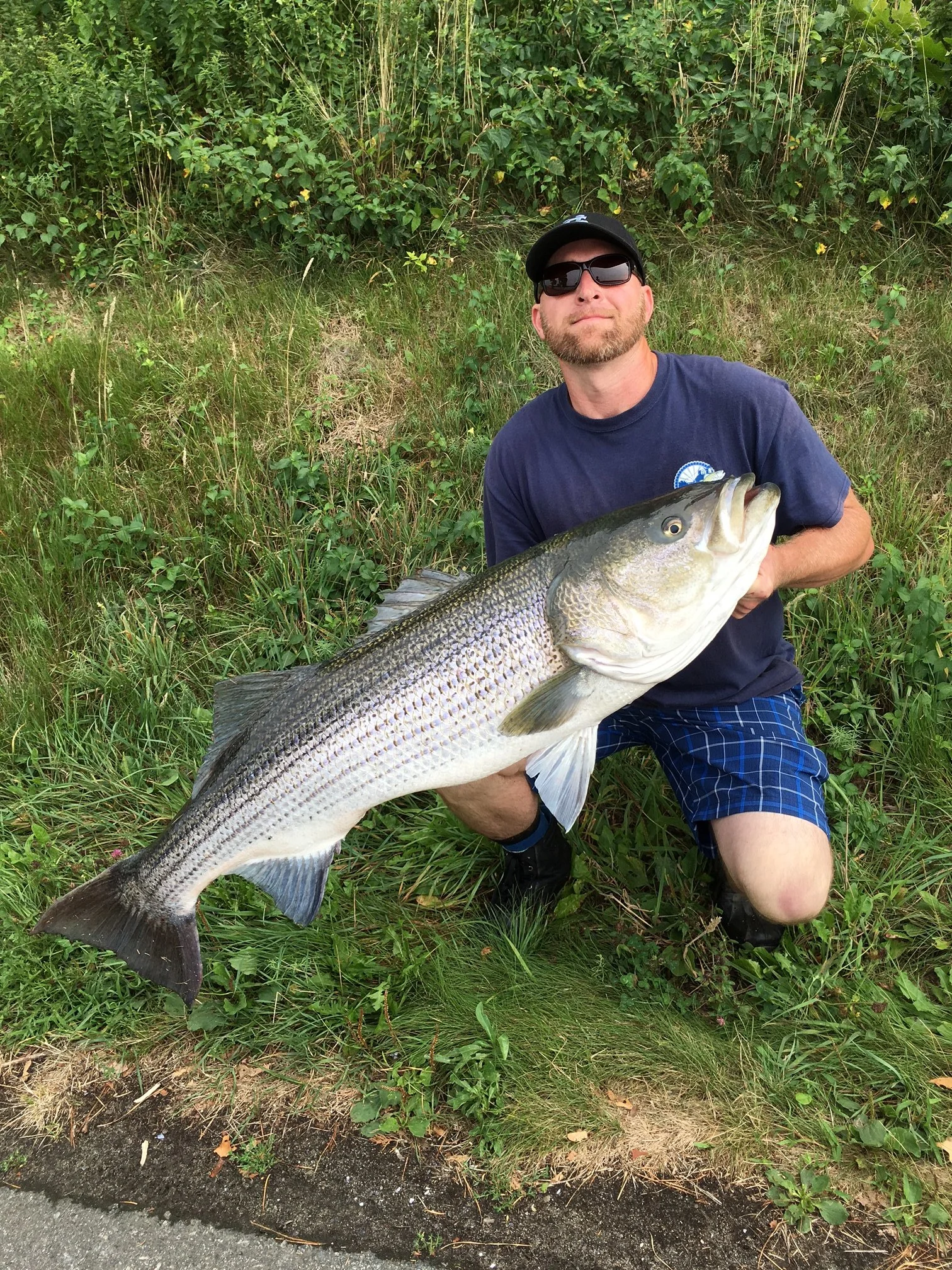 Aubut Rods Ambassador Danny Sullivan Pictured Here with a 50# class striped bass Danny is a Florida Transplant living here on Cape Cod, When he is not fishing you will find him doing tree work. This job is not for the faint of heart as he is usually very high up in a tree with a chainsaw. He is a talented angler that has a very good understanding of multiple fisheries including our striped bass fishery here on Cape Cod. Danny has an arsenal of our 1 piece surf rods and you can find him loading them up on the Cape Cod Canal daily during our fishing season.