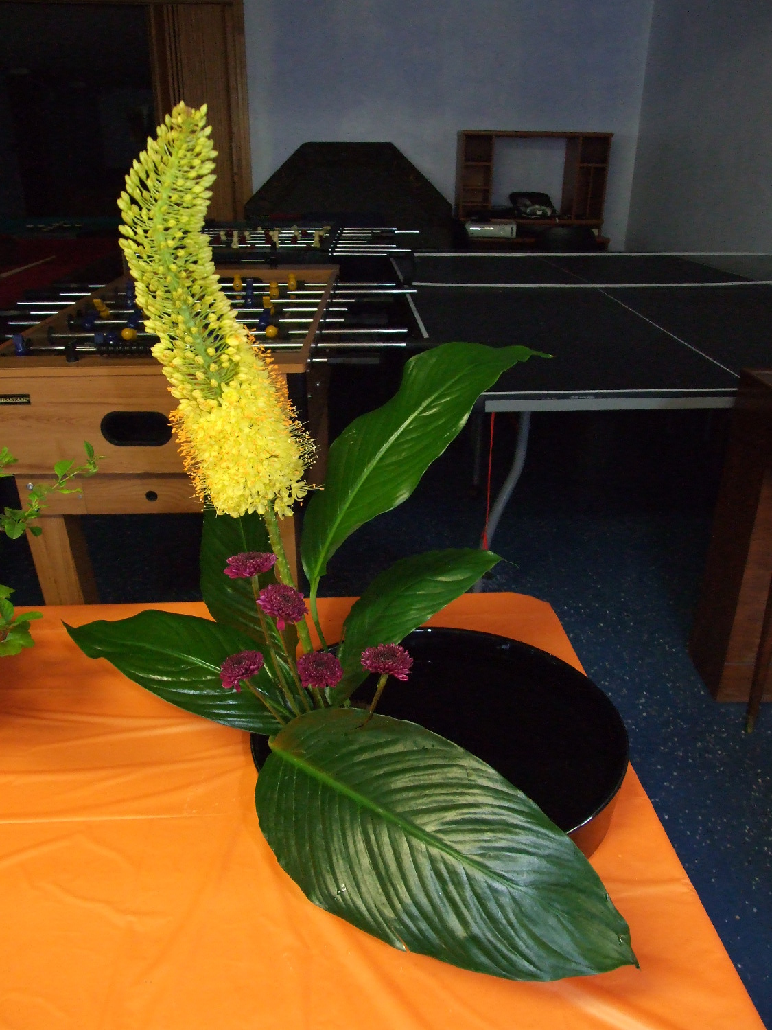 My ikebana entry, yellow flower, button mums, and peace lily leaves.