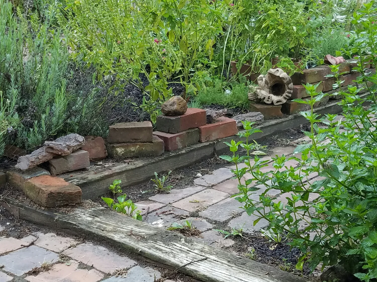 My view in Amy's Garden