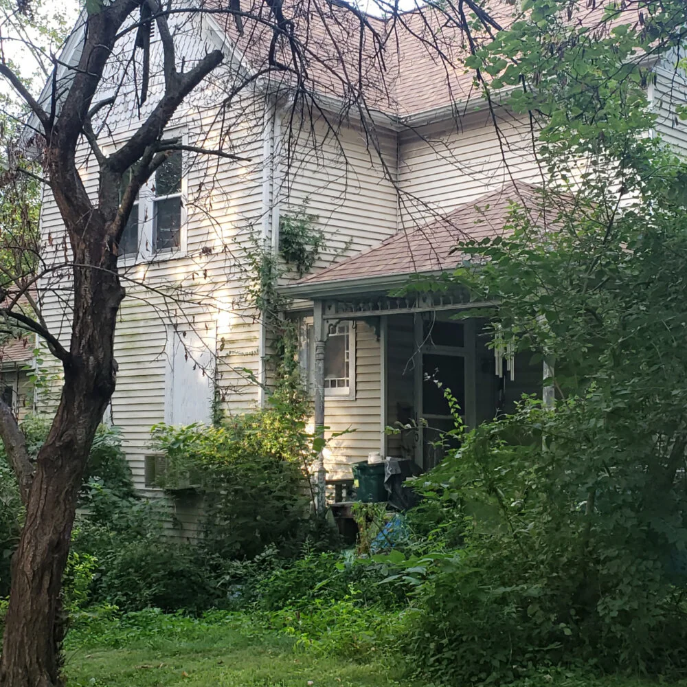 The Cat House_w.jpg