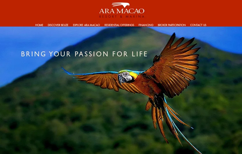 AraMacao_Web1.jpg