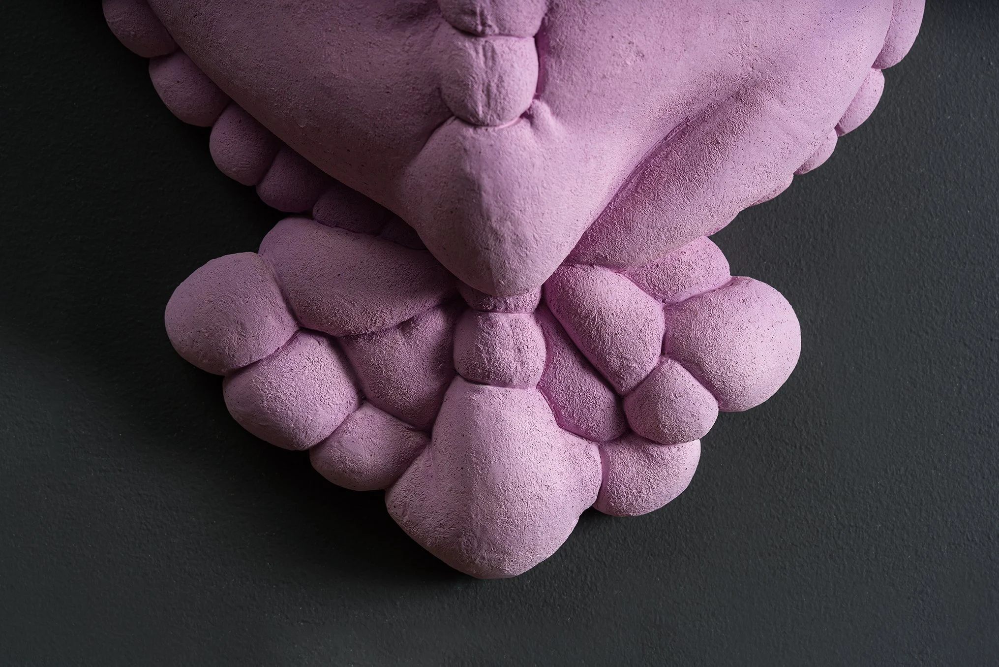 pink hard softy sconce detail.jpg