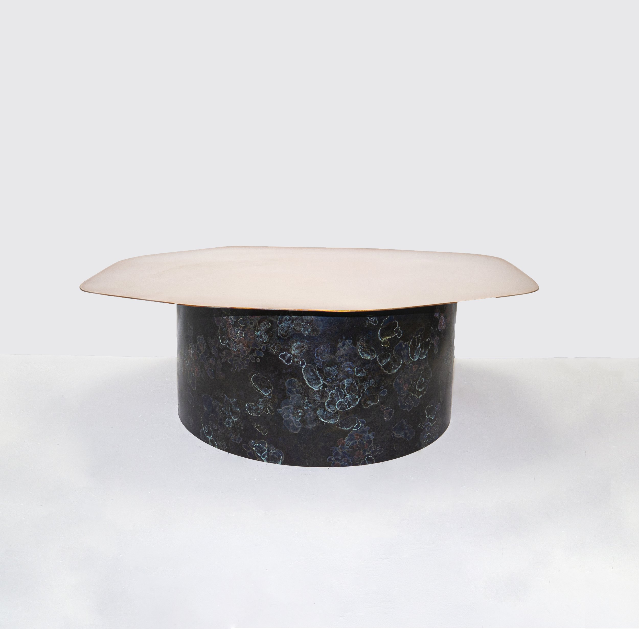 Hdark lichen table 1.jpg