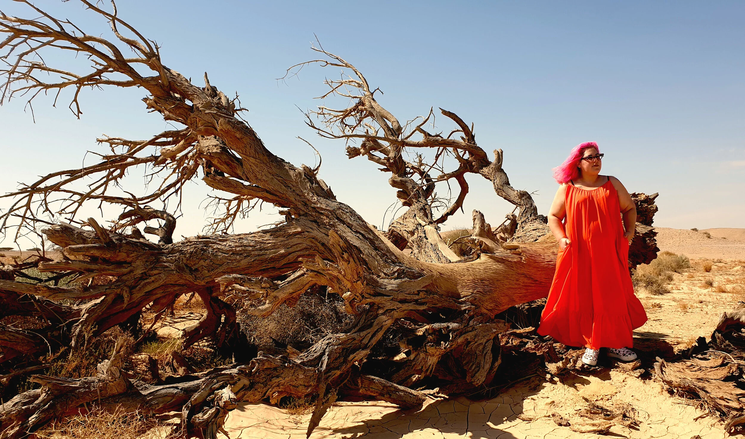 הרכישות הכי מוצלחות שלי מעלי אקספרס עד כה