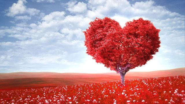 Redirect Love