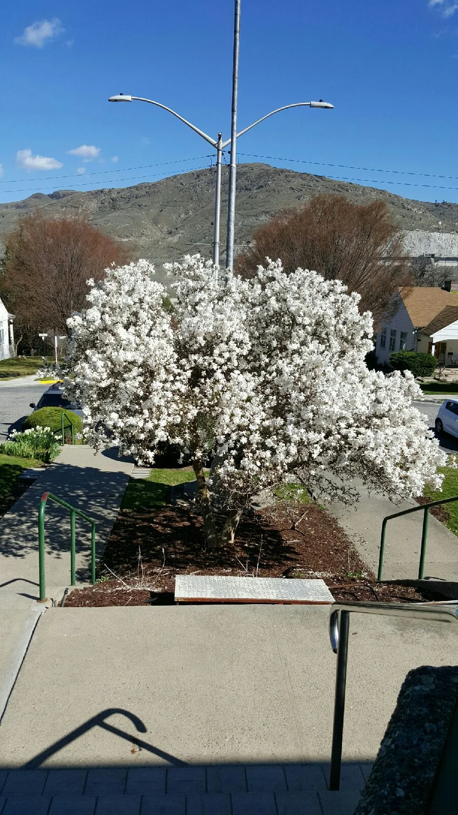20160329_150306_resized1.jpg