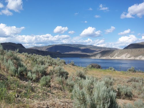  Rufus Woods Lake Located below Grand Coulee Dam, Rufus Woods Lake is 51 miles long. It has a year round fishing season. Trout daily limit is two and includes Kokanee. On the waters of Rufus Woods, or within designated fishing areas (DFA), which are located and marked as such on the Colville reservation shoreline, either a tribal permit or Washington State fishing license shall be acceptable. A Washington State license is required when fishing from the Douglas County shoreline. Walleye, yellow perch, smallmouth bass, and kokanee are also available. There is a state park with camping and boat launching facilities, an Army Corps of Engineers access area with boat launch, along with several access areas along the Colville side of the reservoir throughout coulee dam. 