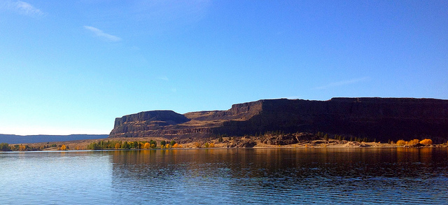  Banks Lake The Banks Lake unit includes 44,700 BOR acres and 41 WDFW acres in the upper Grand Coulee on 27-mile-long Banks Lake. Banks Lake is a man-made impoundment for irrigation water in the Columbia Basin Irrigation Project. It is formed by the North Dam near Grand Coulee and the Dry Falls Dam near Coulee City and is filled with water from Franklin D. Roosevelt Reservoir (Lake Roosevelt). Most of the shoreline is ringed with basalt cliffs and talus slopes, the dry uplands have shallow soils and rocky outcrops with shrub-steppe habitat. Willows and Russian olives grow on the fringes of some cattail and bulrush wetland areas. There are about 23 islands in the reservoir from one to several acres in size, including basalt and granite outcroppings, shrub-steppe and wetlands. Steamboat Rock(pictured above), in the northern part of the lake, is the largest of several peninsulas and is designated a Research Natural Area. Unique wildlife use can include common loons, wintering bald eagles, mule deer and peregrine falcons. From Coulee City at the south to Electric City at the north, this large reservoir is very popular with anglers pursuing many species. Smallmouth Bass and Walleye are the most popular species. There is also a loyal following of anglers who fish for the reservoirs most numerous species, Lake Whitefish. Panfish, Rainbow Trout, and Kokanee can also be caught in Banks Lake. During most winters Banks Lake freezes over providing a popular ice fishery. 