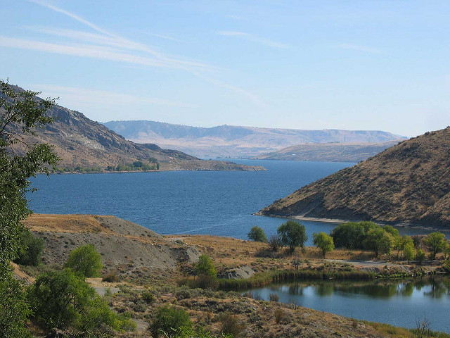  Franklin Roosevelt Lake (Lake Roosevelt) This Columbia River impoundment stretches more than 150 miles from Grand Coulee Dam into Canada and is managed cooperatively between WDFW, the Colville Confederated Tribe of Indians and The Spokane Tribe of Indians. Fishing season is open year-round, except for sturgeon, which are closed to fishing all year. Rainbow Trout, Kokanee, Walleye and Smallmouth Bass are the star attractions. Cooperative net-pen rearing projects at numerous locations provide the Rainbow Trout fishery. The cooperative net-pen project plants approximately 750,000 triploid catchable Rainbow Trout annually into Lake Roosevelt. Check the latest regulations pamphlet for special trout and Kokanee rules and redefined San Poil River boundaries. Other fish available to catch are Burbot, Lake Whitefish, and Yellow Perch. Bow-and-arrow fishing for Common Carp is prohibited. Lake Roosevelt is one of the waters on which we conduct our annual Fall Walleye Index Netting (FWIN) surveys. The FWIN methodology was developed in Ontario, Canada as a means of monitoring a wide variety of biological parameters in Walleye populations in a standardized fashion using gill nets. Our latest report can be found here. http://wdfw.wa.gov/publications/01717/ The National Park Service operates 35 recreation areas along the 660 miles of shoreline. Maps are available at the dam's visitor center and WDFW Spokane office. Water level fluctuations can be a problem for boat launching. For current water level information, call (800) 824-4916. The Washington Department of Health (DOH) has issued this fish consumption advisory for Lake Roosevelt due to mercury contamination: pregnant women, women of childbearing age, and children under six years of age should eat no more than two meals of walleye (8-ounce portion) a month. For more information, check the DOH More Information can be found at http://wdfw.wa.gov/