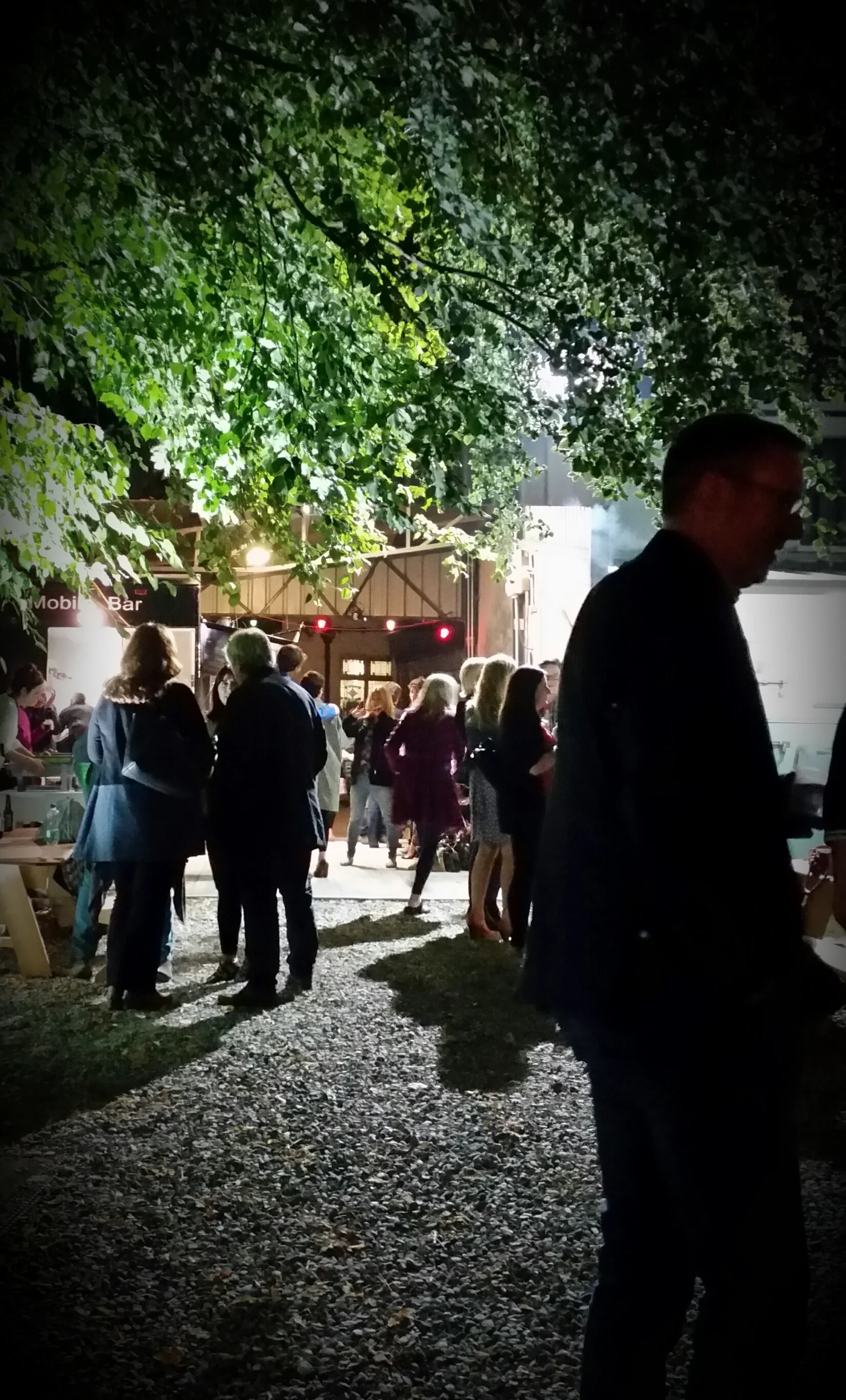 The unique festival site of Laurel Villa in Magherafelt