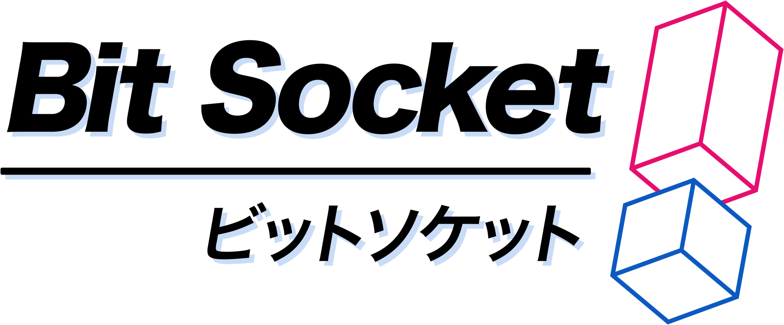 Bit Socket