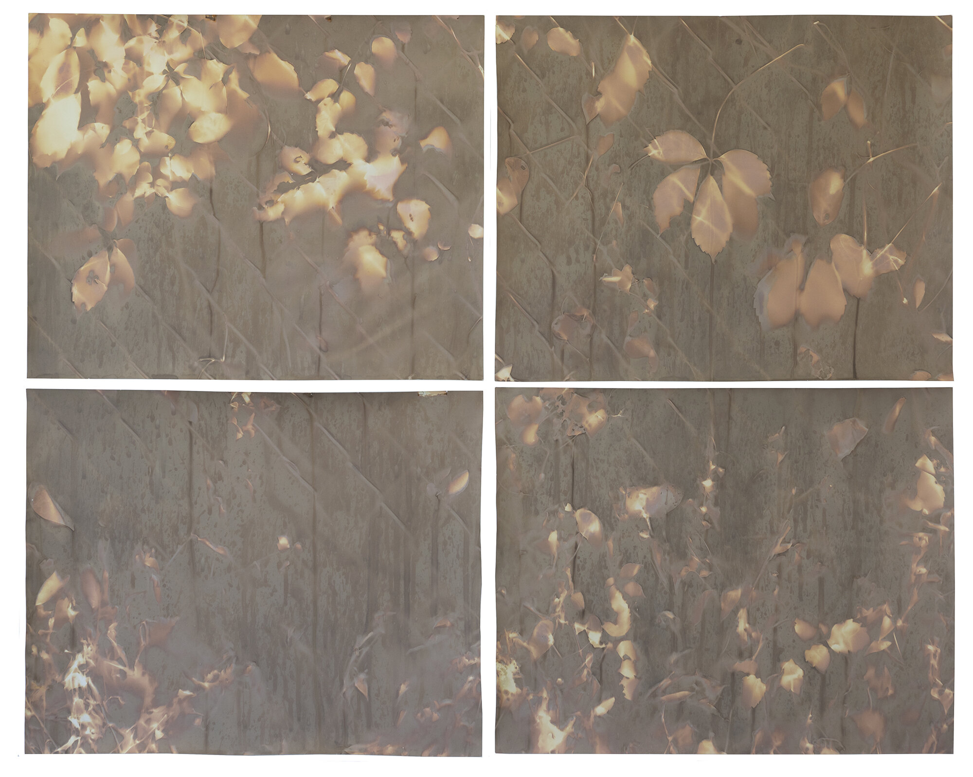 red hook quad #1 king st 32” x 40” lumen prints
