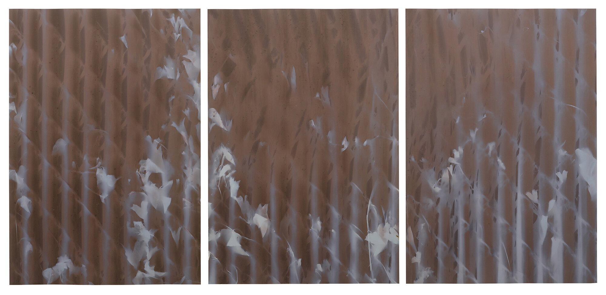  red hook triptych #3 wolcott st  20” x 42”  lumen prints 