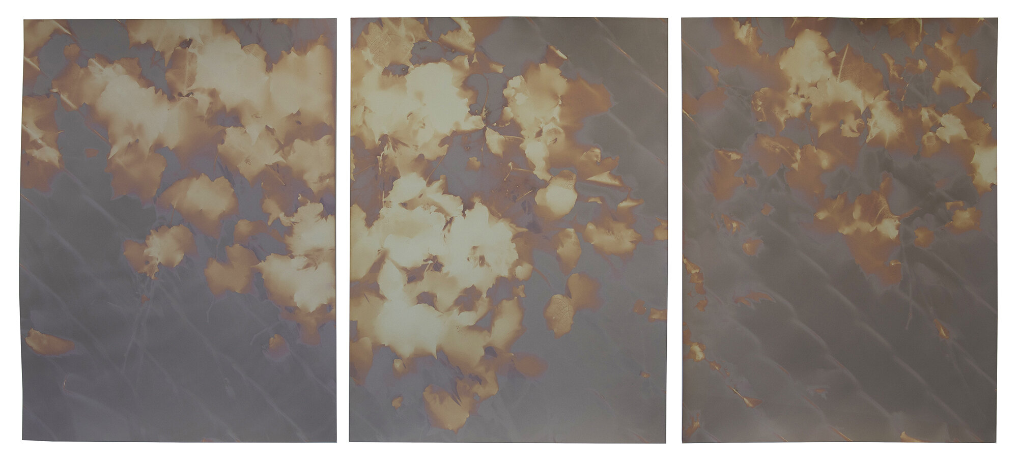  red hook triptych #6 wolcott st  20” x 45”  lumen prints 