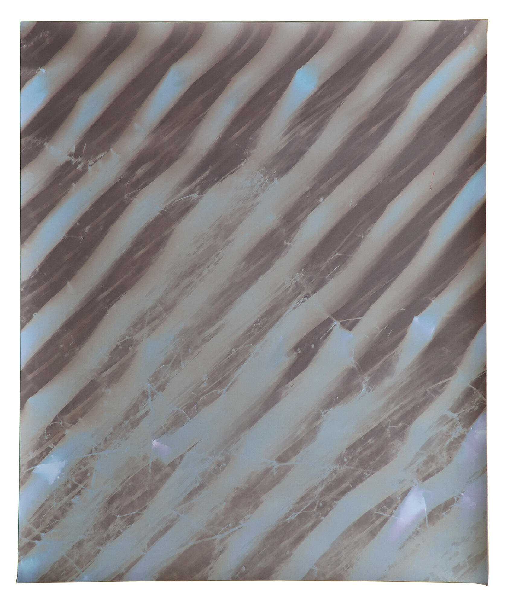 red hook fence single #1 dikeman st 20” x 24” lumen print