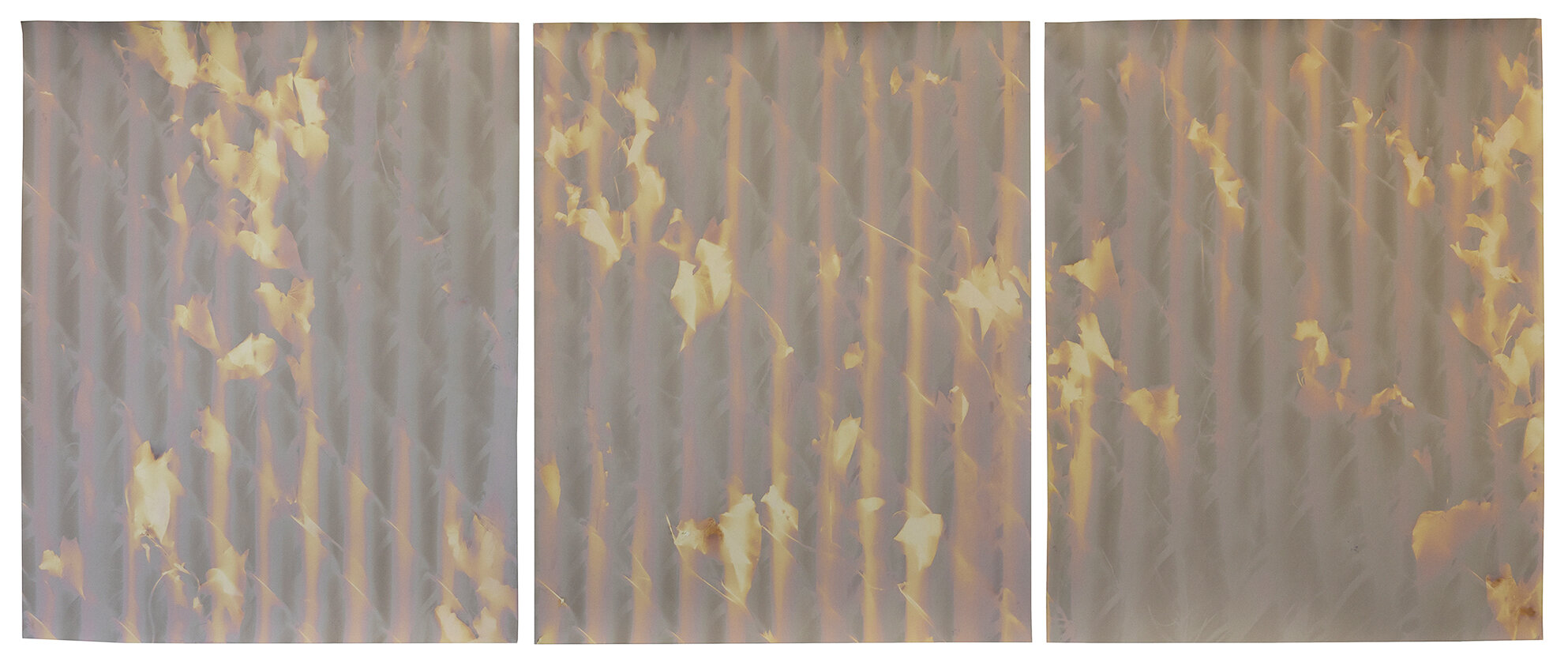  red hook triptych #4 wolcott st  20” x 48”  lumen prints 