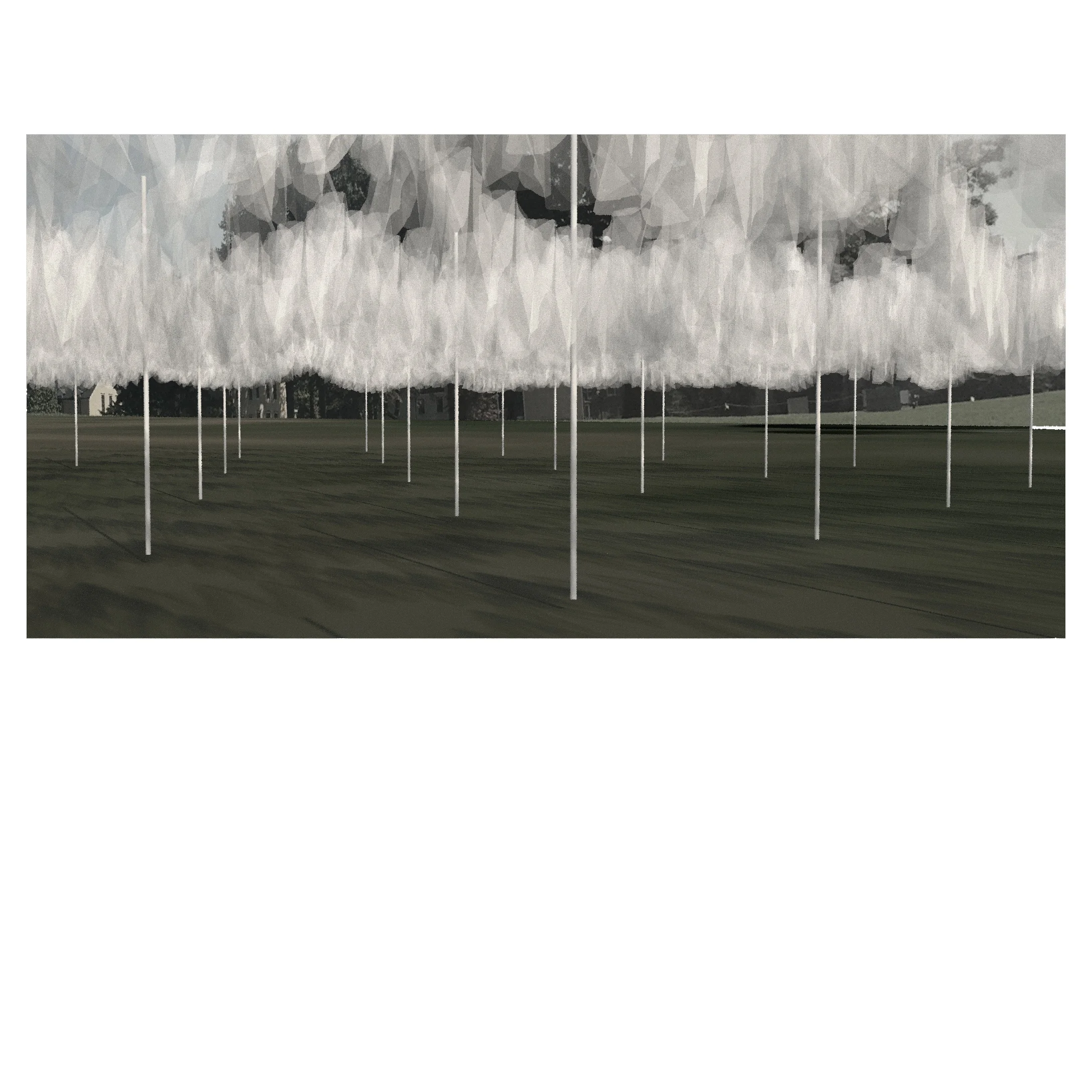 1a for instagram.jpg