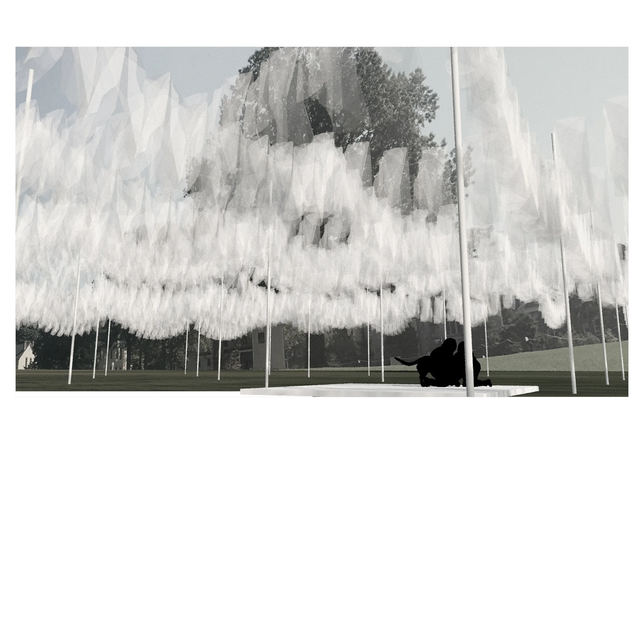 dogs for instagram.jpg