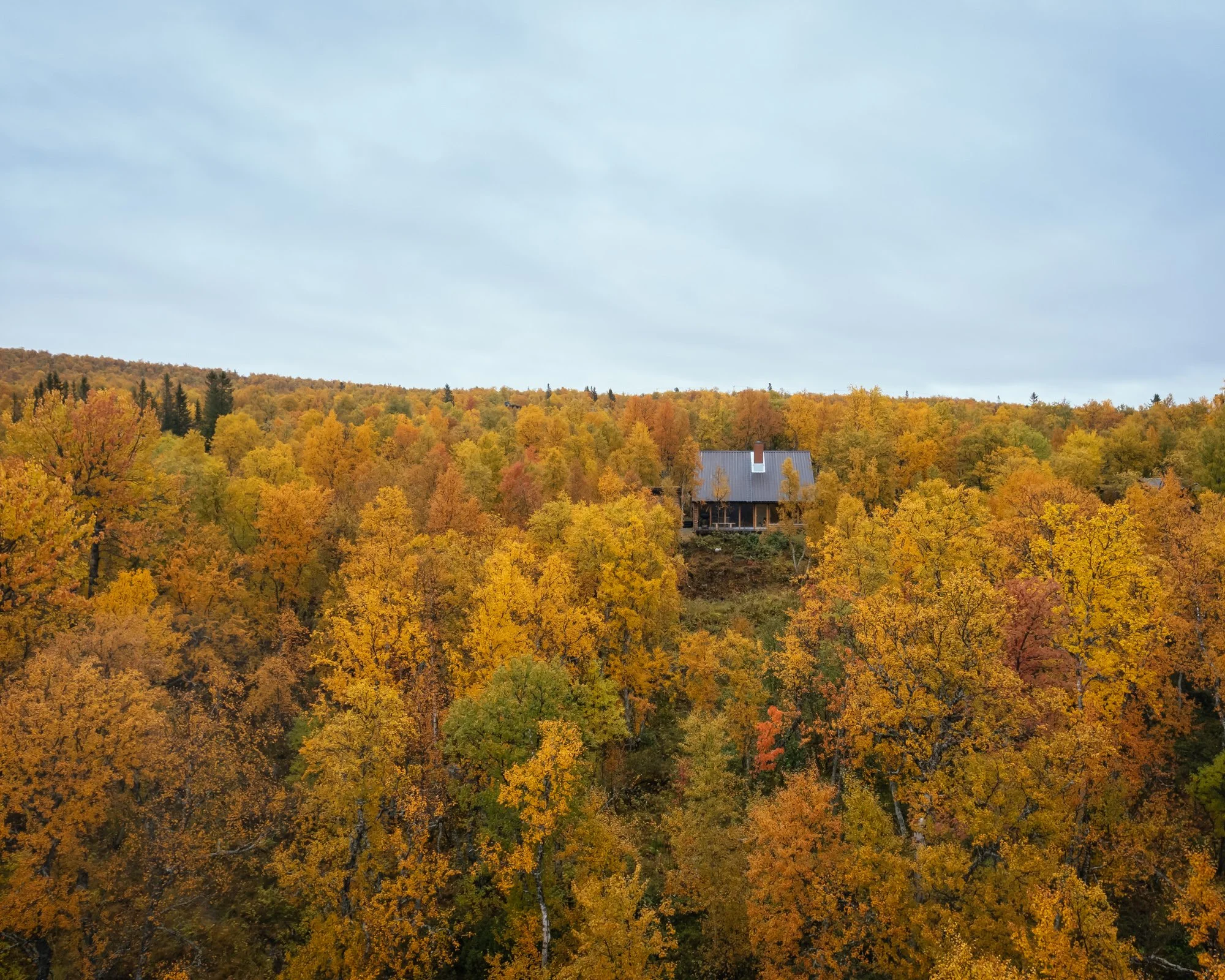 THE HAT HOUSE (Copy)