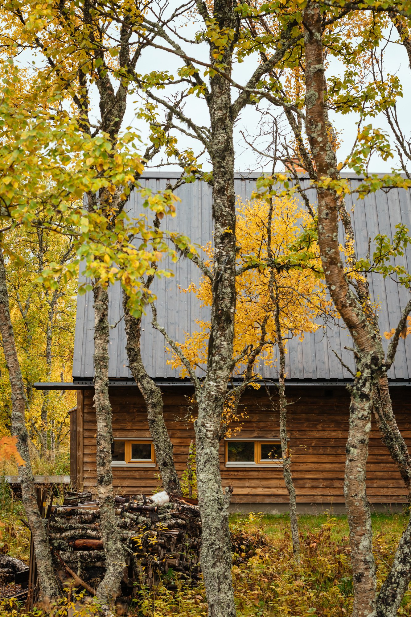 THE HAT HOUSE (Copy)