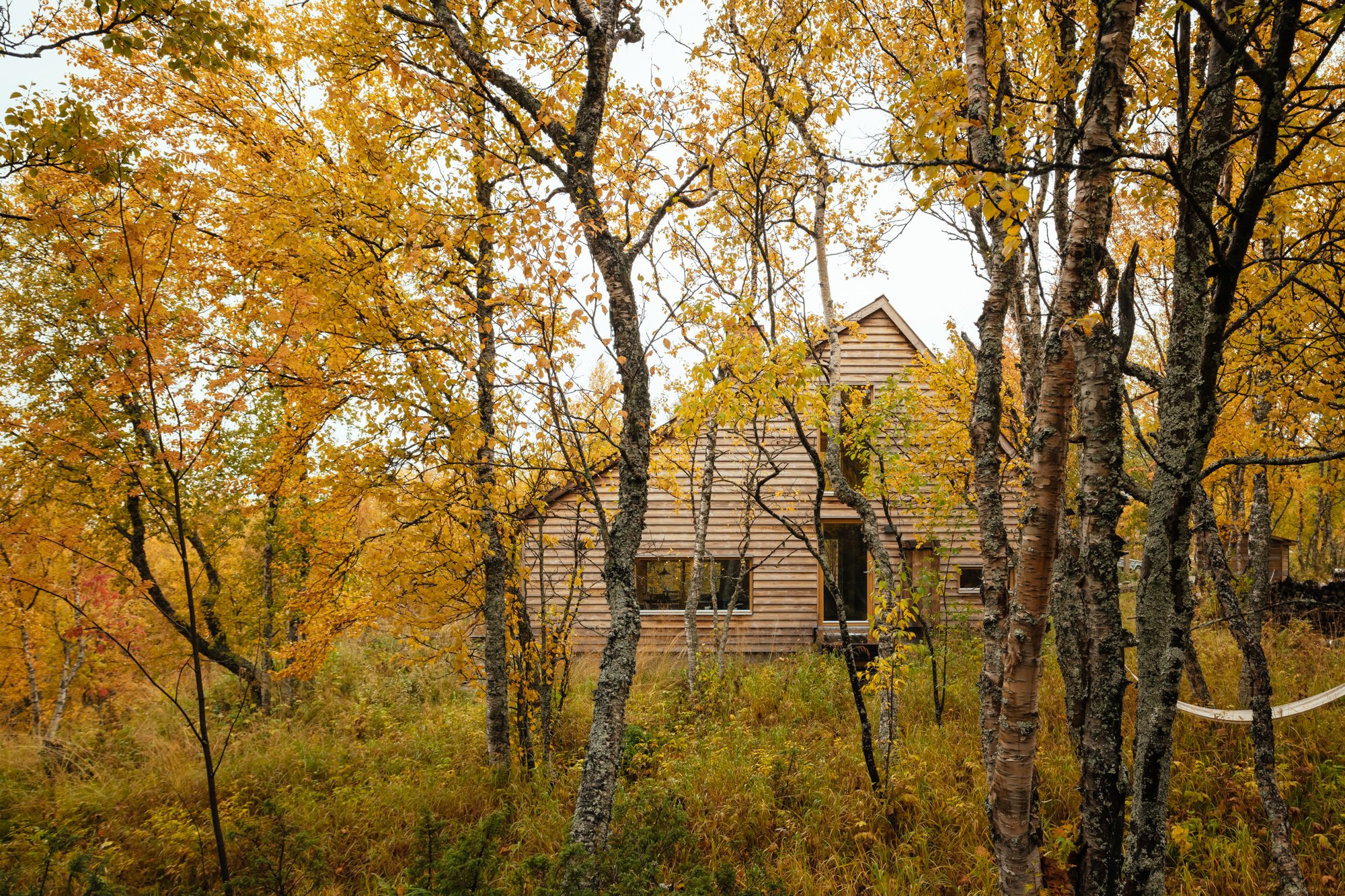 THE HAT HOUSE (Copy)