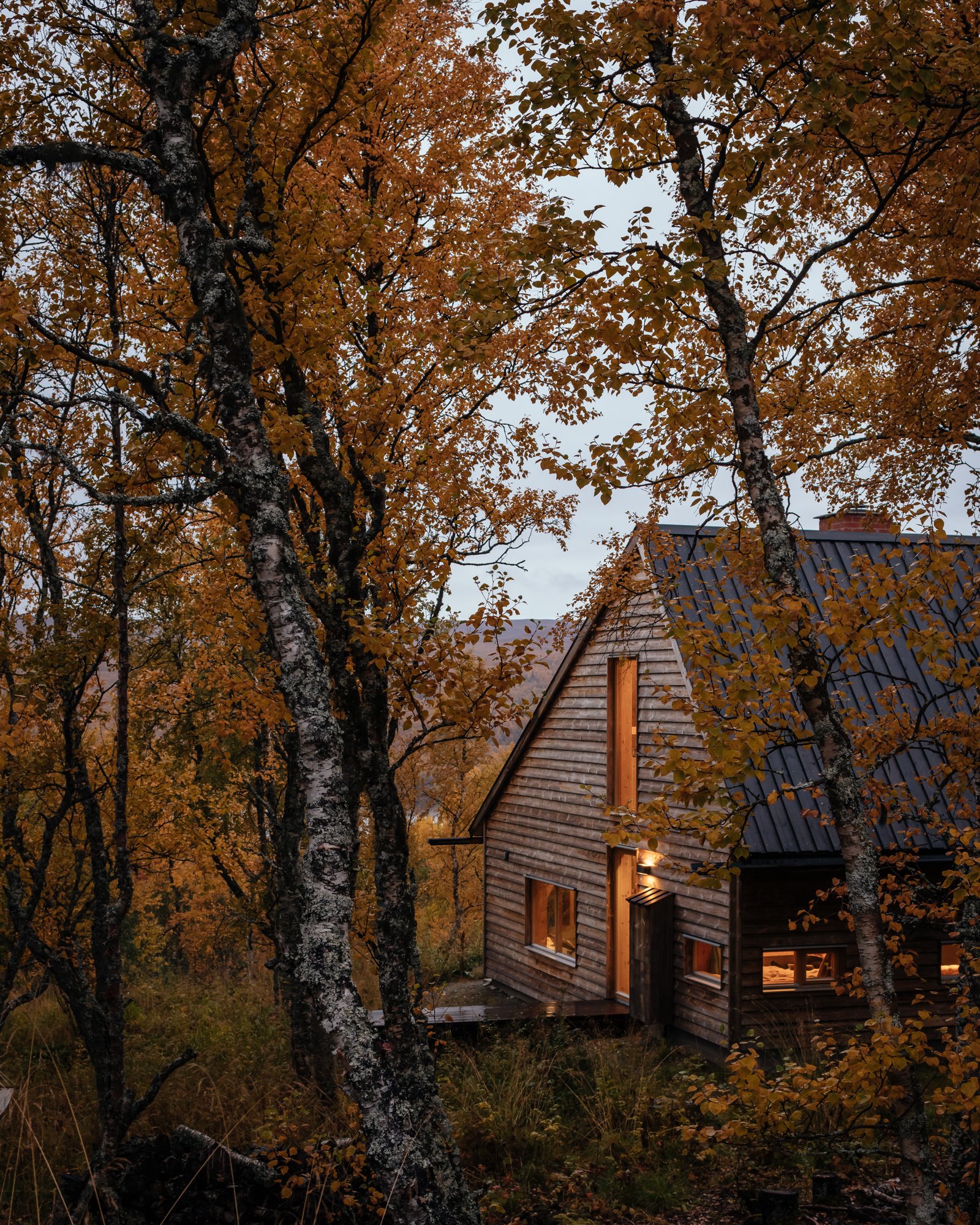 THE HAT HOUSE (Copy)
