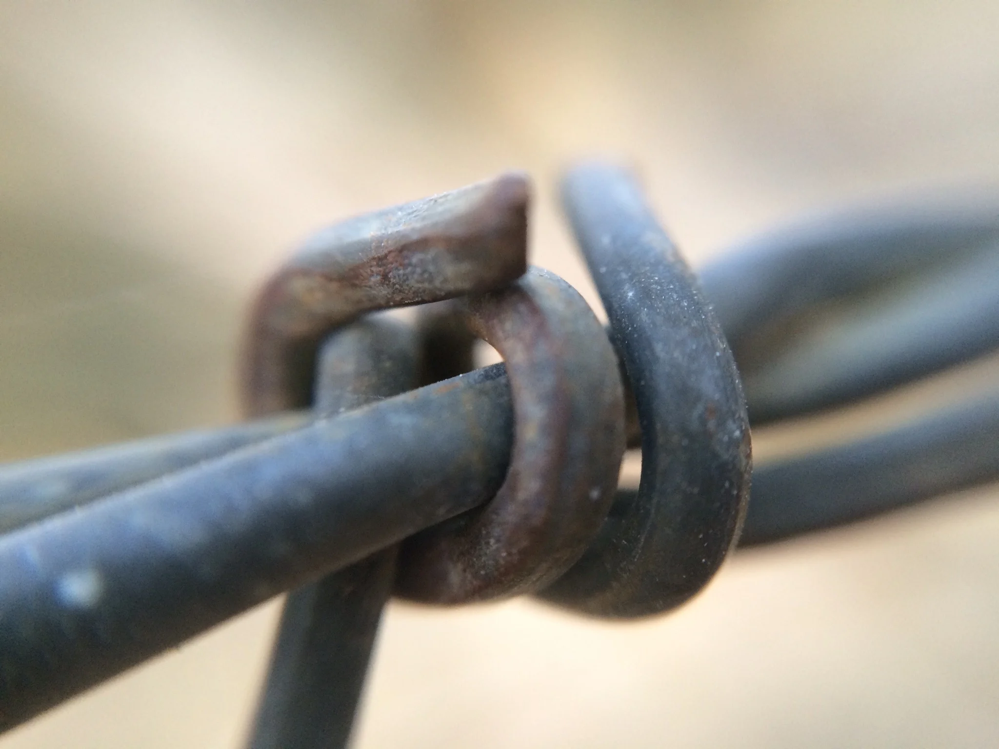 Freedom, Security, and Charlie