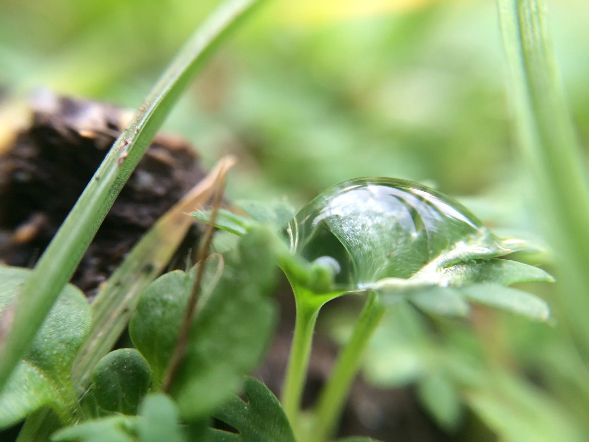 On the Scale of Worlds