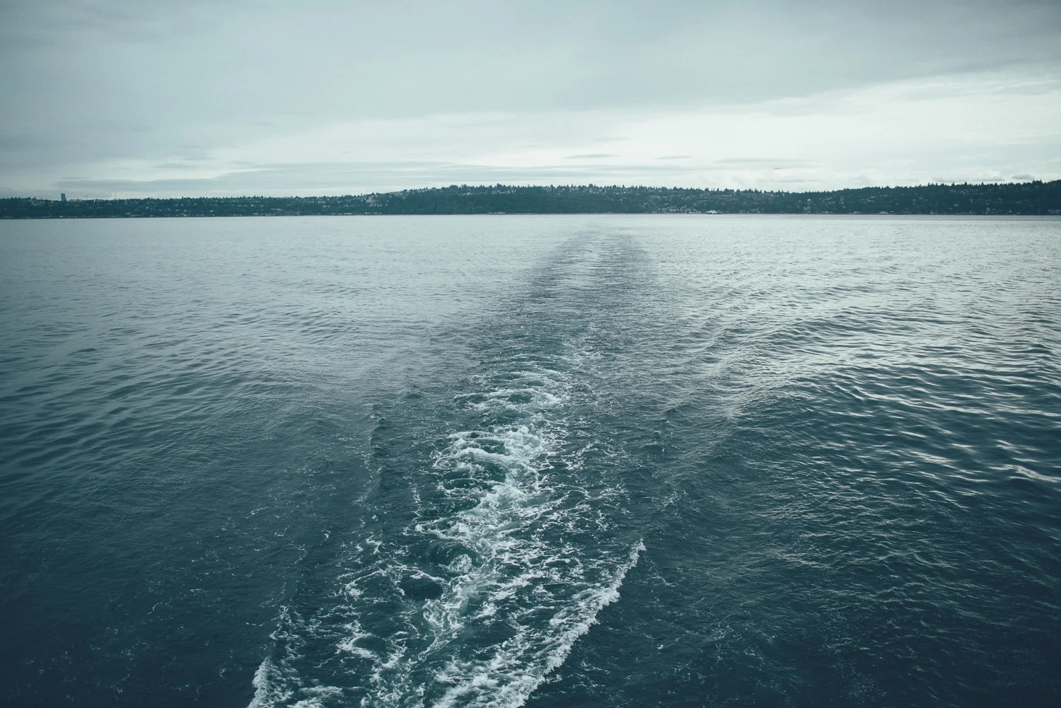 vashon_island_wedding_lennon_marissa-3353.jpg