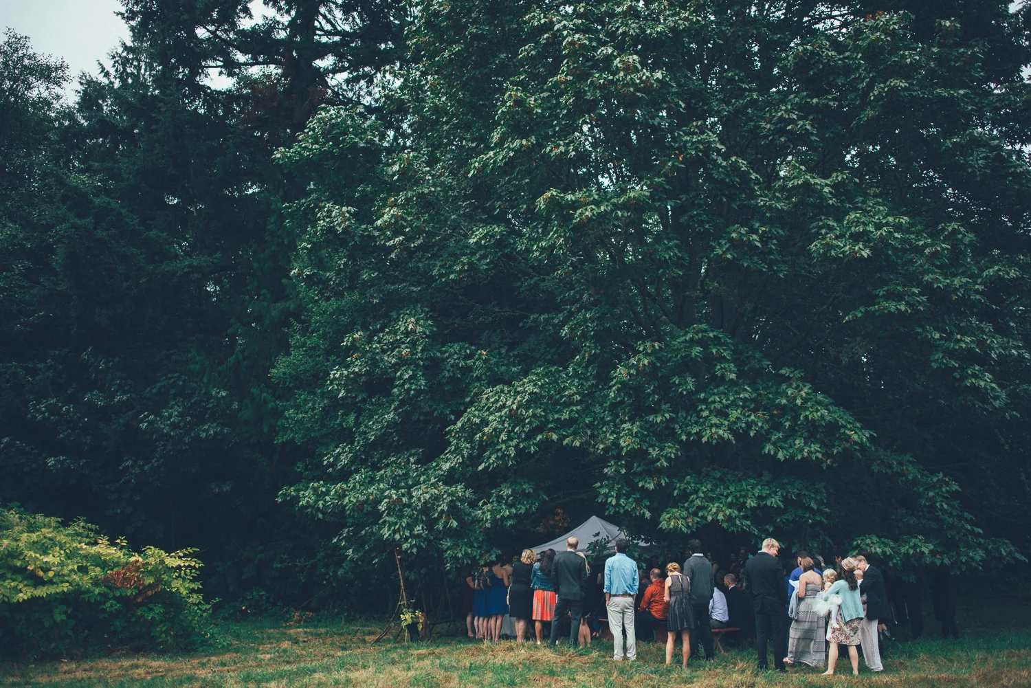 vashon_island_wedding_lennon_marissa-4243.jpg